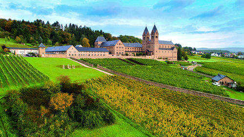 RUEDESHEIM, GERMANY - OCTOBER 04: 'Riesling' Grape harvest in a vineyard of the St. Hildegard abbey on October 4, 2017 in Eibingen near Ruedesheim, Germany. (Photo Thomas Lohnes/Getty Images)